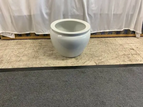 White Koi fish bowl