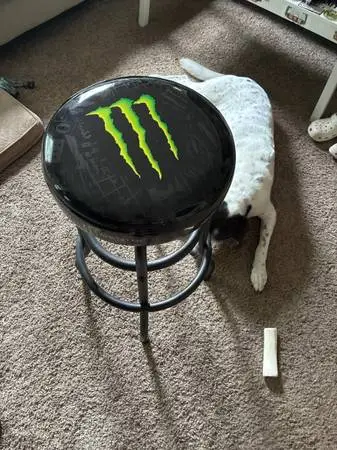 Monster energy spinning bar stool