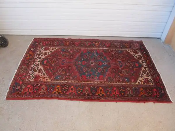 Vintage Persian Hand-Knotted Wool Rug * 4 x 6