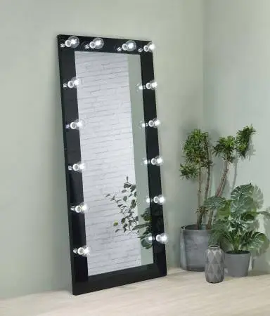 **Full-Length Floor Mirror in Black Finish with Lights**