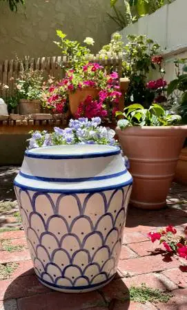 Brand New Pottery Barn Mark D. Sikes Cachepot Pot Set of 2