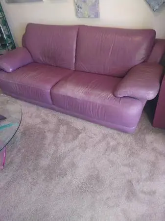 Light Purple Sofa for Free