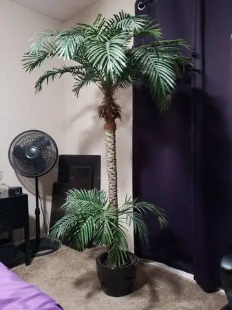 Artificial Tree with Black Pot 6 feet tall Palm