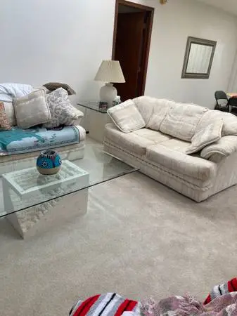 Sofa and loveseat combo