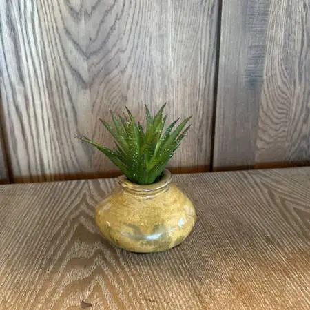 Santa Fe Saavy Small Succulent In Hand Made Vase-5X6