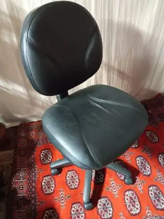 - - - - - Desk Chair - - - -
