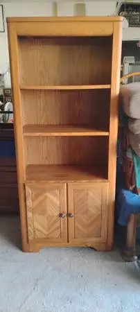Bookcase/cabinet