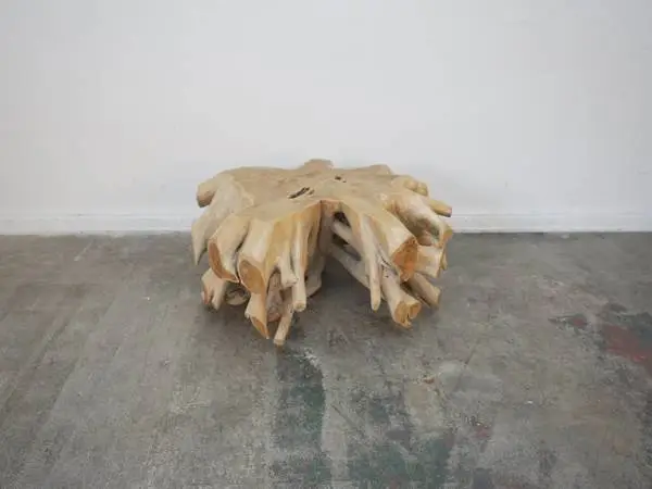 Wood Root Coffee Table 48 L x 36w X 19 H