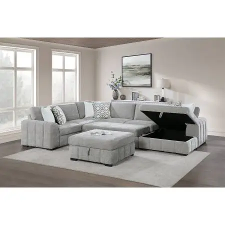 New sectional with storage and built in sleeper - 2 color options