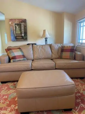 Free: Bauhaus Leather Queen Sleep Sofa and ottoman