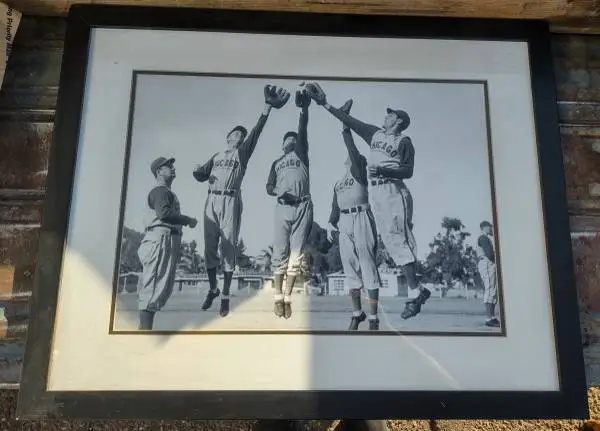 Chicago Cubs Baseball Picture Framed and Matted 28x23