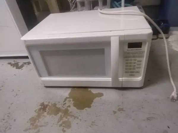 Microwave