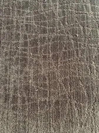 NEW patterned carpet high quality