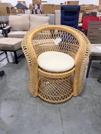 Bayou Breeze Upholstered Barrel Peacock Rattan Accent Chair Brand New