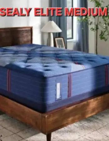 MATTRESSES must go name brands and standard MATTRESS call for info