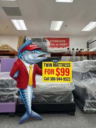Twin mattress sale