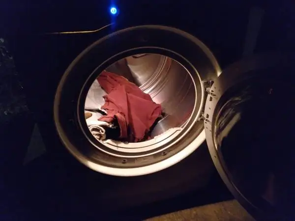 NICE BIG LG  DRYER  (WORKS GREAT)!!