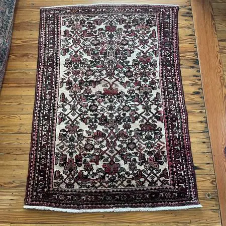 Hamadan Persian Oriental Rug