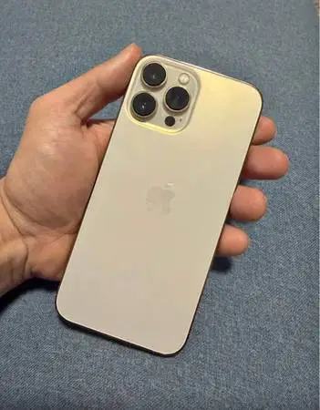 Iphone 13 pro max unlocked