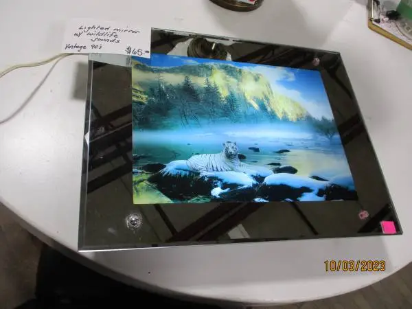 Lighted Mirror with Wildlife Sounds    #3808