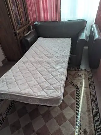 LOVESEAT/ TWIN BED