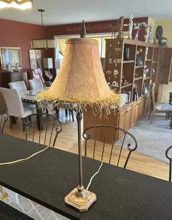 Table Lamp with Attractive Shade, #1