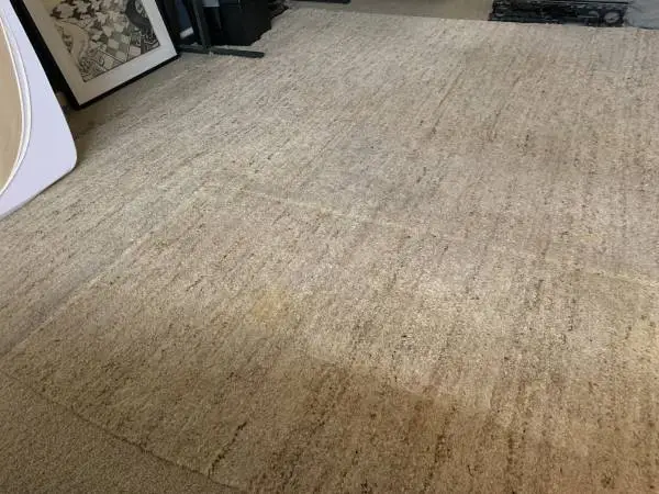 Heavy Thick Beige Large Wool Area Rug 11 6 X 9 10