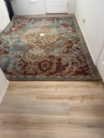 FIVE BEAUTIFUL RUGS (prices range from $25 to $125)