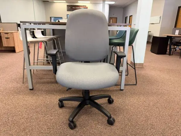 Big & Tall Office Chair / Task Chair