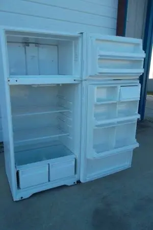 Kenmore 25336801891 Top-Freezer Refrigerator 20 Cu Ft Frost Free Works