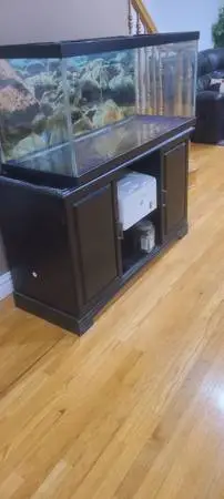 Fish tank 100 gallon