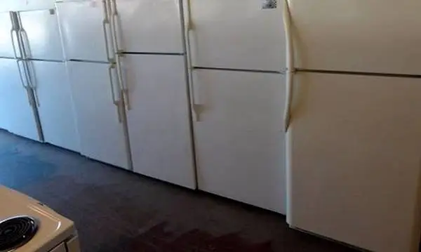 Top freezer standard size refrigerator