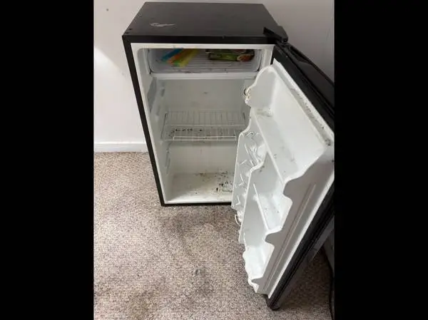 Mini-Refrigerator