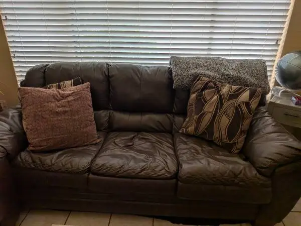 Leather Couch and Sofa