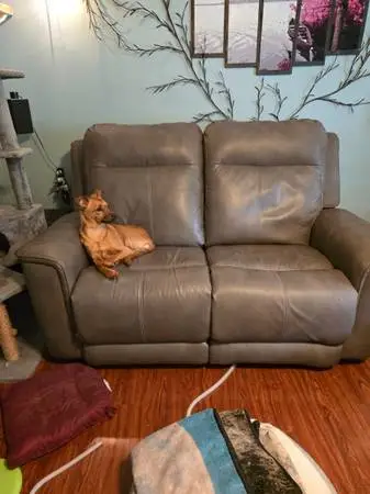 Stanton Love Seat