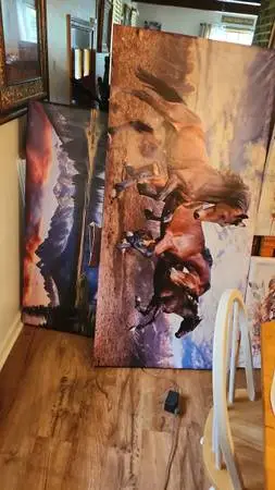 Large Medium sized CANVASES