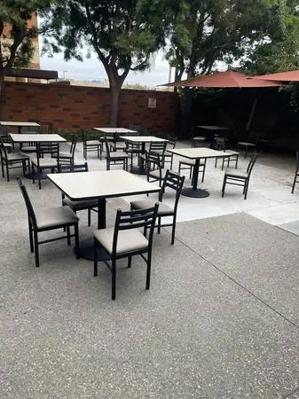 50 indoor/outdoor chairs