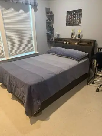 Wayfair boys bed *New in Box* (full)