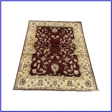 4ft 2in × 5ft 8in Pak-veg Hand-knotted Area Rug