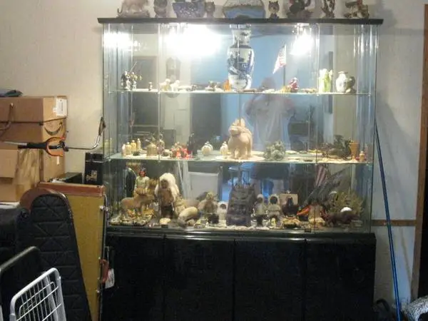 Display Case Glass & Lights