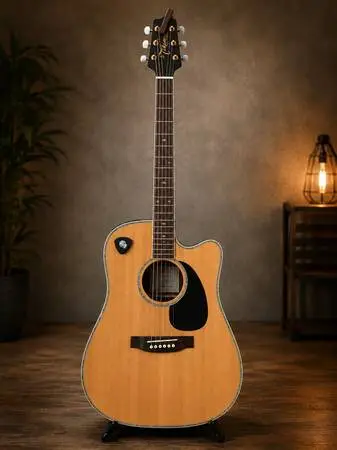 Takamine Accoustic Guitar