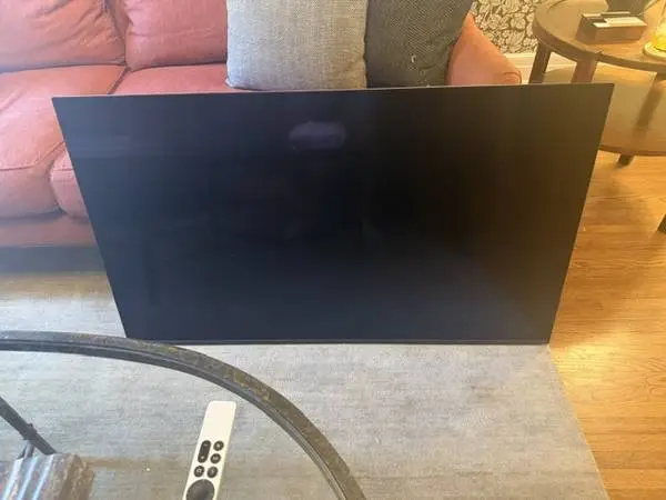 SONY 48 INCH FLATSCREEN TV
