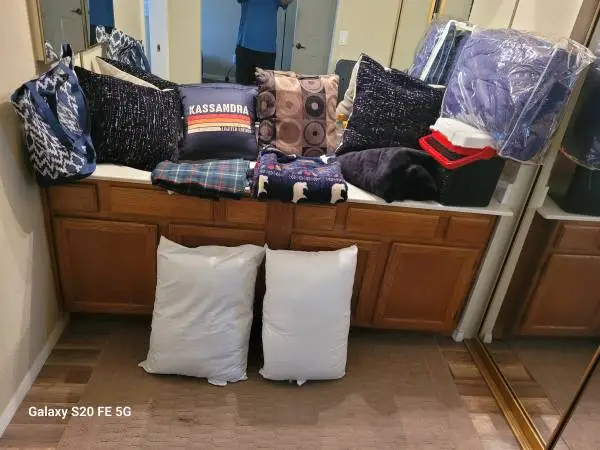FS: lot of pillows blankets comforter beach bag Igloo cooler