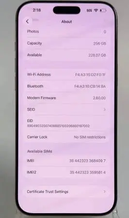 16 ProMAX iPhone 256gb