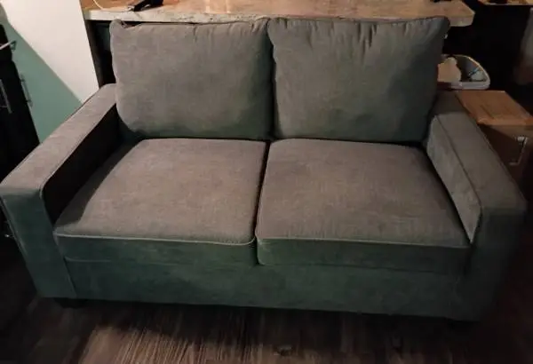 Loveseat couch