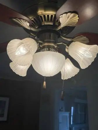 48 Honeywell Ceiling Fan with Light Kit