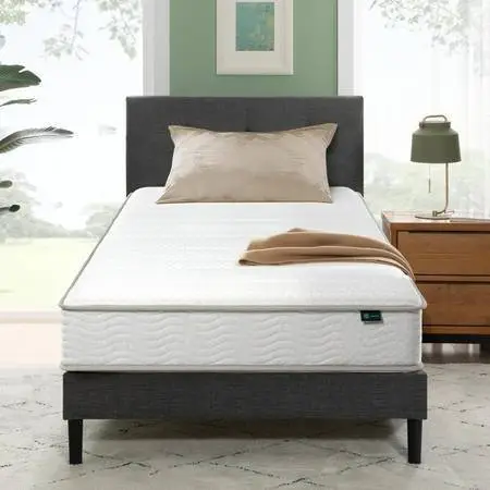 Twin Mattress (New, in box)