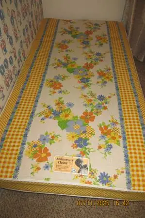 Free Twin bed
