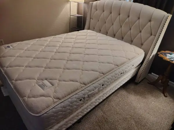 Queen BED - Upholstered Headboard with Sealy Box Spring & Mattress