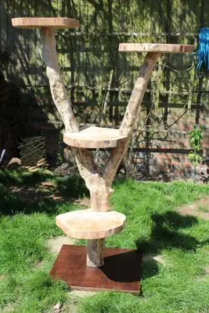Custom Local handcrafted Natural tree branch Cat trees / condos and more!